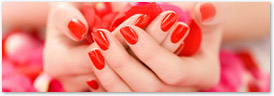 Ohio Nail Technician Cosmetology Continuing Education license renewal course